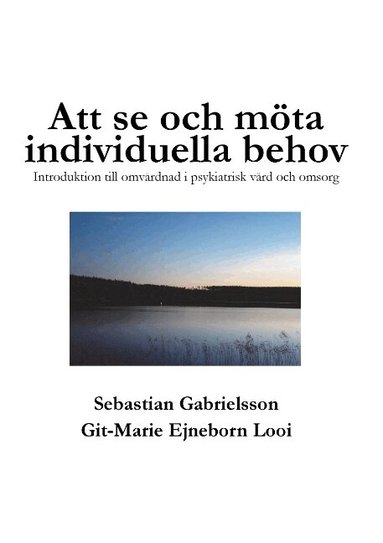 Att se och m�ta individuella behov: Introduktion till omv�rdnad i psykiatrisk v�rd och omsorg (h�ftad)