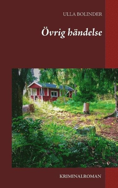 �vrig h�ndelse (inbunden)