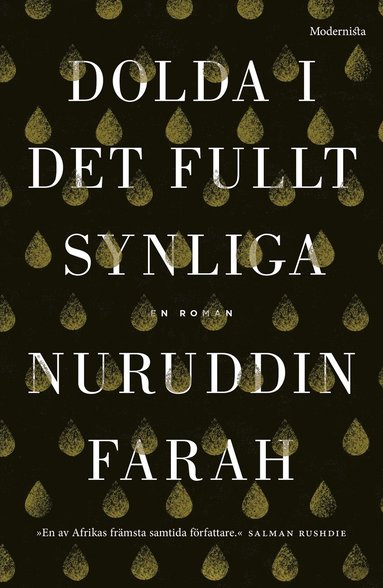 Dolda i det fullt synliga (inbunden)