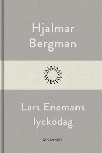 Lars Enemans lyckodag (e-bok)