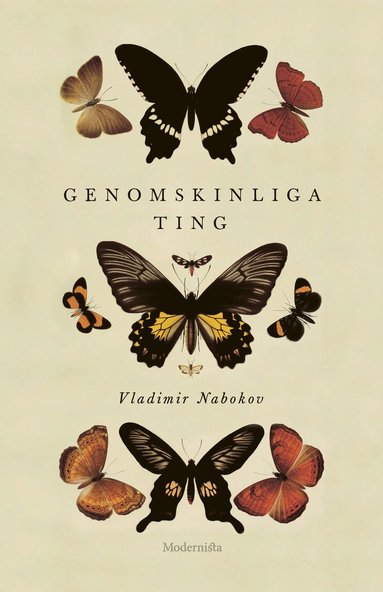 Genomskinliga ting (hftad)