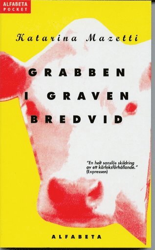 Grabben I Graven Bredvid (pocket)