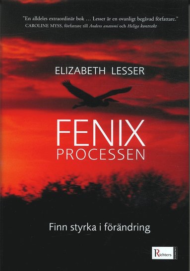 Fenixprocessen : finn styrka i förändring (häftad)