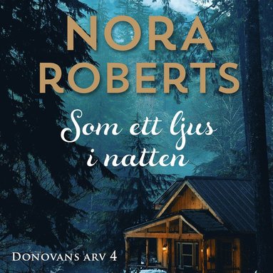 Som ett ljus i natten (ljudbok)