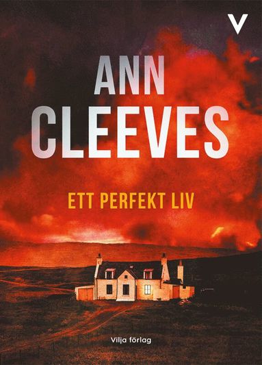 Ett perfekt liv (storpocket)