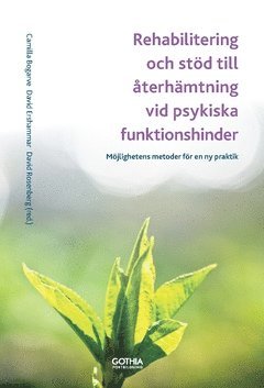 Rehabilitering och std till terhmtning vid psykiska funktionshinder : Mjlighetens metoder fr en ny praktik (hftad)