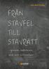 Fr�n stavfel till stavr�tt : genom bokst�ver, ord och litteratur