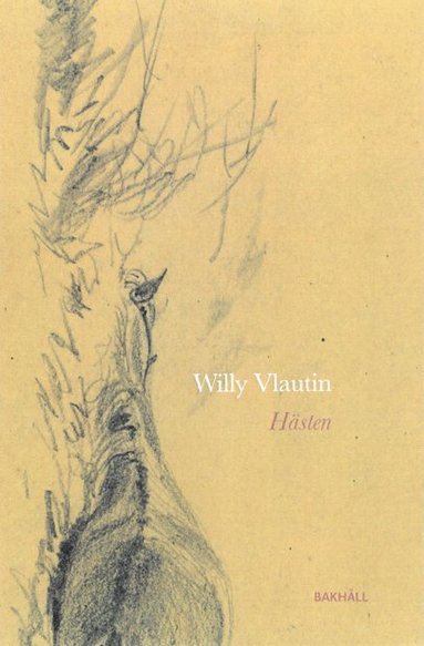 Hsten (storpocket)