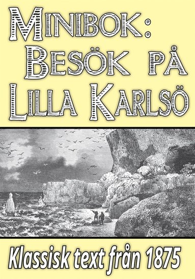Minibok: Ett besk p Lilla Karls r 1875 (e-bok)