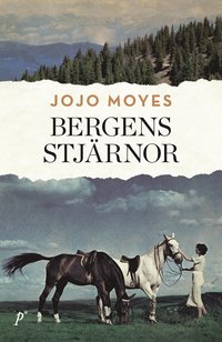 Bergens stjärnor som bok, ljudbok eller e-bok.