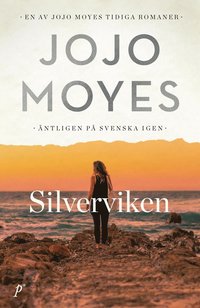 Silverviken (e-bok)
