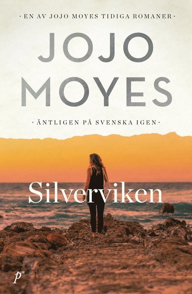 Silverviken (e-bok)