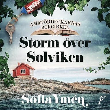 Storm ver Solviken (ljudbok)