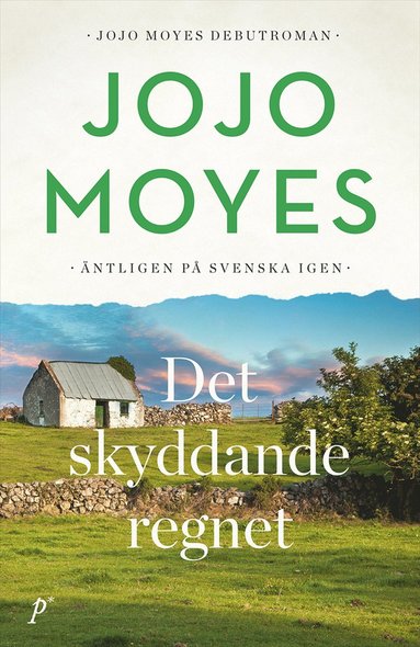 Det skyddande regnet (pocket)