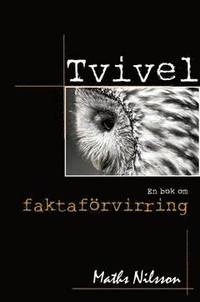 Tvivel (e-bok)