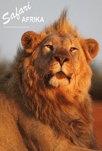 Safari Afrika (e-bok)