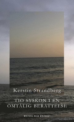 Tio syskon i en ömtålig berättelse (e-bok)