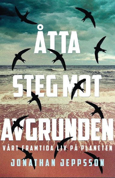 �tta steg mot avgrunden : v�rt framtida liv p� planeten (inbunden)