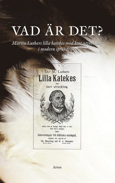 Vad �r det? : Martin Luthers lilla katekes med kort utveckling i modern spr�kdr�kt (inbunden)