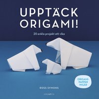 Upptäck origami! : 20 enkla projekt att vika (häftad)