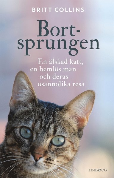 Bortsprungen : en älskad katt, en hemlös man och deras osannolika resa (inbunden)