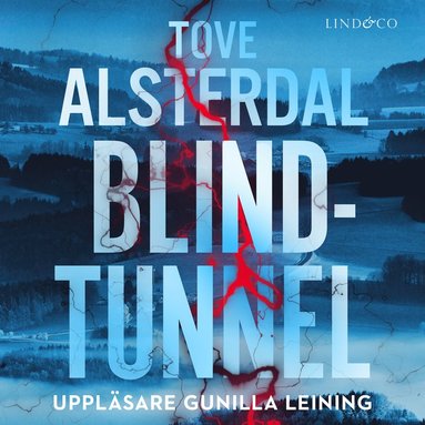 Blindtunnel (pocket)