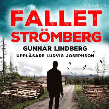 Fallet Strmberg (ljudbok)