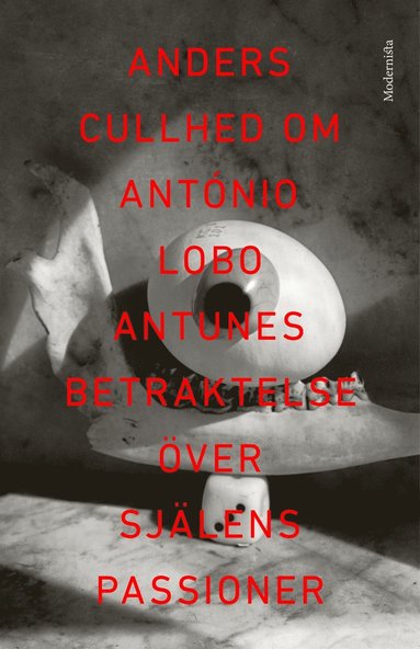Om Betraktelse ver sjlens passioner av Antnio Lobo Antunes (e-bok)
