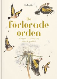 De frlorade orden (inbunden)