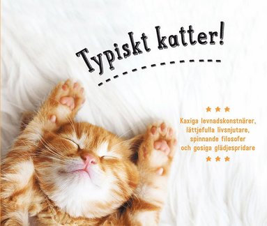 Typiskt katter! (inbunden)