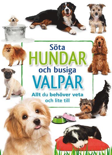 Söta hundar och busiga valpar (inbunden)