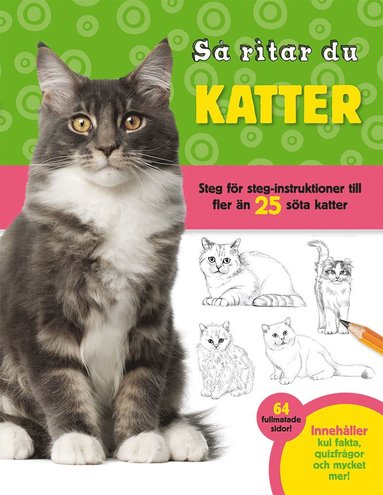 Så ritar du katter : Steg för steg-instruktioner till fler än 25 söta katte (häftad)