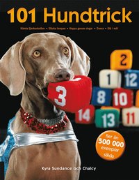 101 hundtrick som bok, ljudbok eller e-bok.