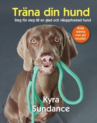 Träna din hund : steg för steg till en glad och väluppfostrad hund (e-bok)