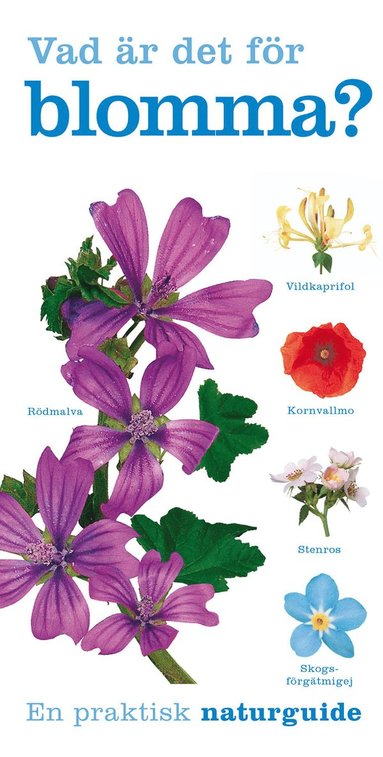 Vad är det för blomma? (häftad)
