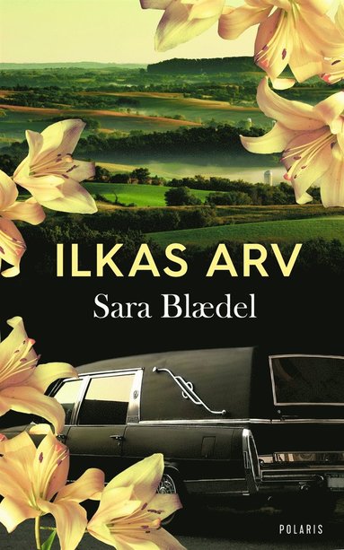 Ilkas arv (e-bok)