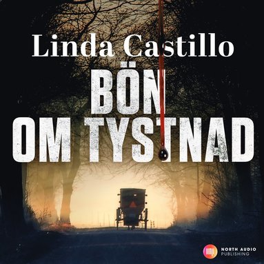 Bn om tystnad (ljudbok)