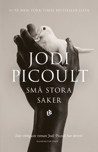 Små stora saker (pocket)