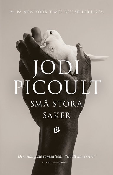 Sm stora saker (pocket)