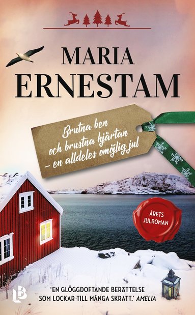 Brutna ben och brustna hjrtan - en alldeles omjlig jul (pocket)