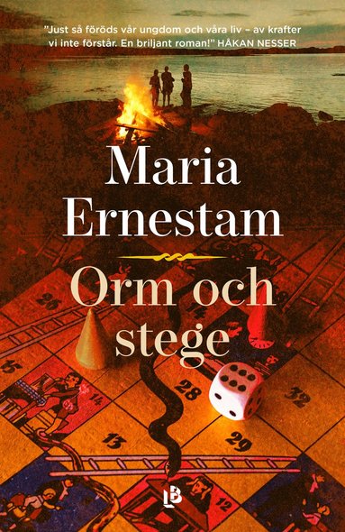 Orm och stege (inbunden)