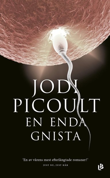 En enda gnista (inbunden)
