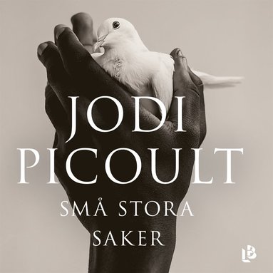 Små stora saker (ljudbok)