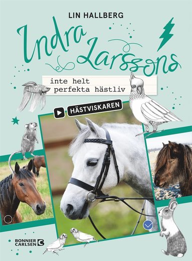 Indra Larssons inte helt perfekta hstliv (inbunden)