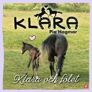 Klara och f�let (inbunden)