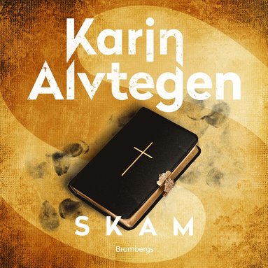 Skam (e-bok)