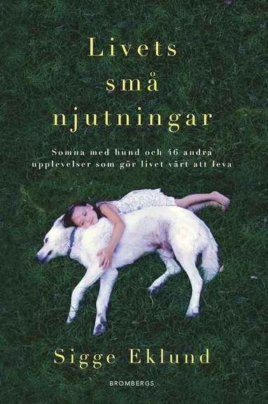 Livets sm njutningar : somna med hund och 46 andra upplevelser som gr livet vrt att leva (inbunden)