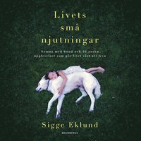 Livets små njutningar : somna med hund och 46 andra upplevelser som gör livet värt att leva (ljudbok)