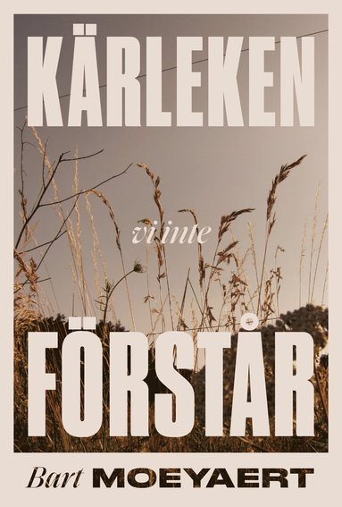 Krleken vi inte frstr (inbunden)