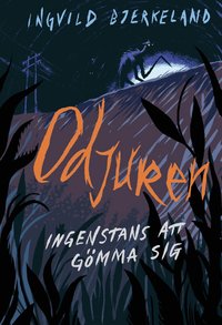 Omslag: Ingenstans att gömma sig